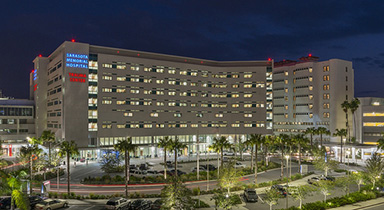 Cigna Insurance